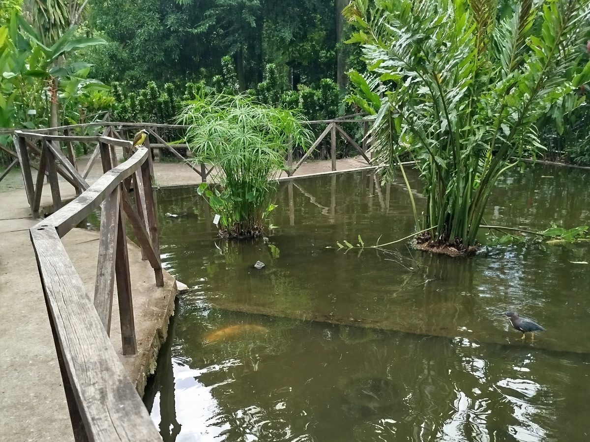 Jardín Botanico La Laguna, Antiguo Cuscatlan