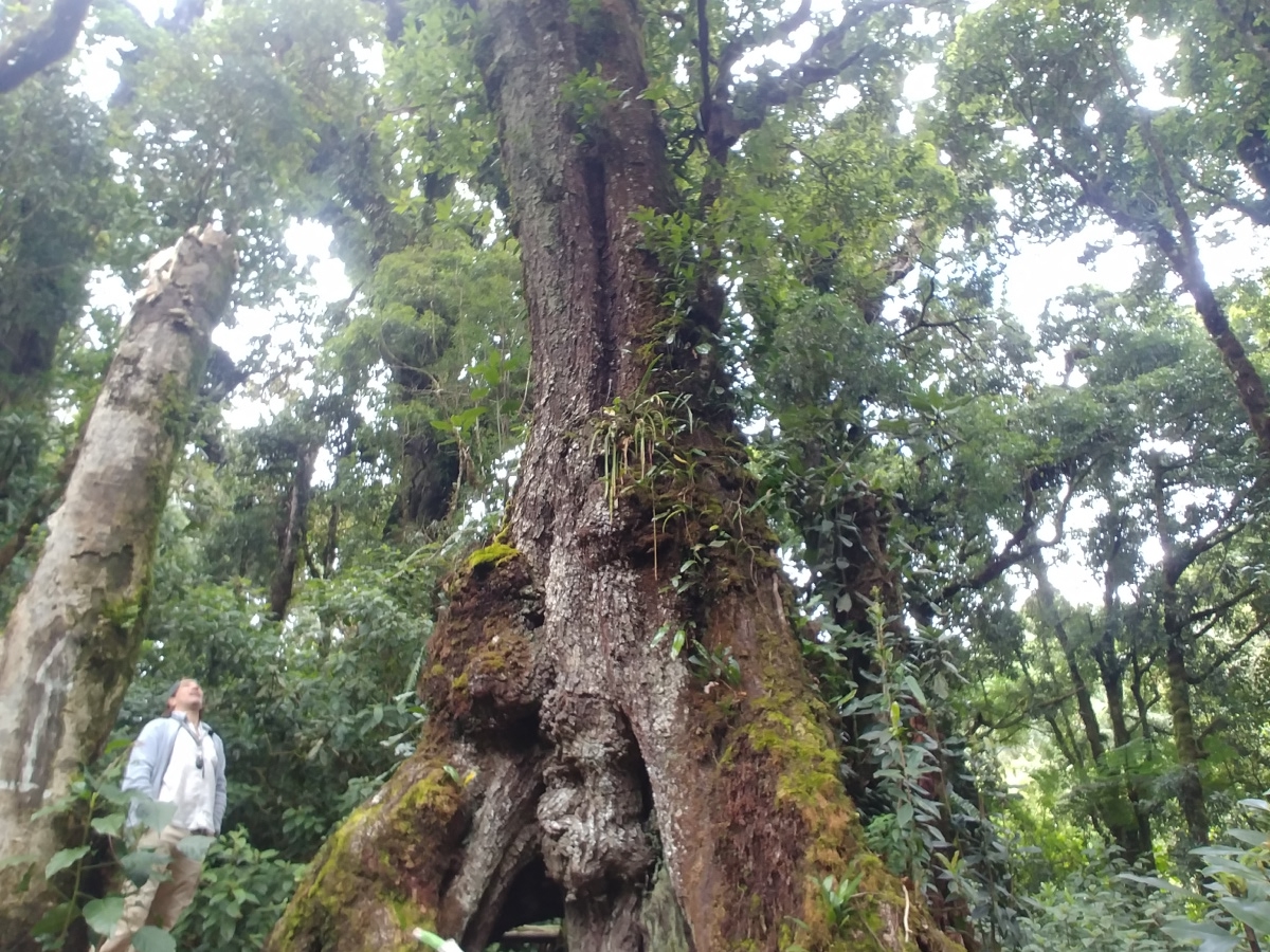 El Pital, Cerro El Pital